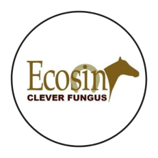 ECOSİN