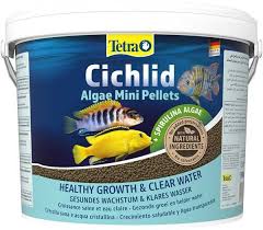 TETRA CİCHLİD ALGAE MİNİ UFAK TANELİ BİTKİSEL CİCLHİD BALIK YEMİ - 10LT