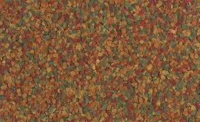 TETRA TETRAMİN PRO CRİSPS TROPİKAL CİPS BALIK YEMİ - 10LT