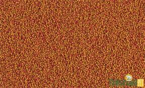 TETRA CİCHLİD COLOUR MİNİ UFAK TANELİ RENKLENDİRİCİ CİCLHİD BALIK YEMİ - 10LT TETRA CİCHLİD COLOUR MİNİ UFAK TANELİ RENKLENDİRİCİ CİCLHİD BALIK YEMİ - 10LT